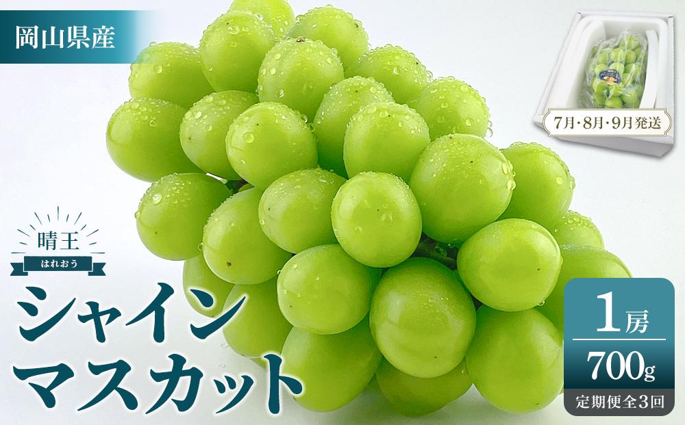2026年予約受付中 シャインマスカット 晴王 1房 約700g 3回 定期便  7月・8月・9月に1回ずつお届け 【シャインマスカット マスカット ぶどう 葡萄 岡山県産   種無し 皮ごと食べる みずみずしい フレッシュ 温室栽培 晴れの国おかやま 果物大国 彩美菜果 岡山県 岡山市 おすすめ 人気 】