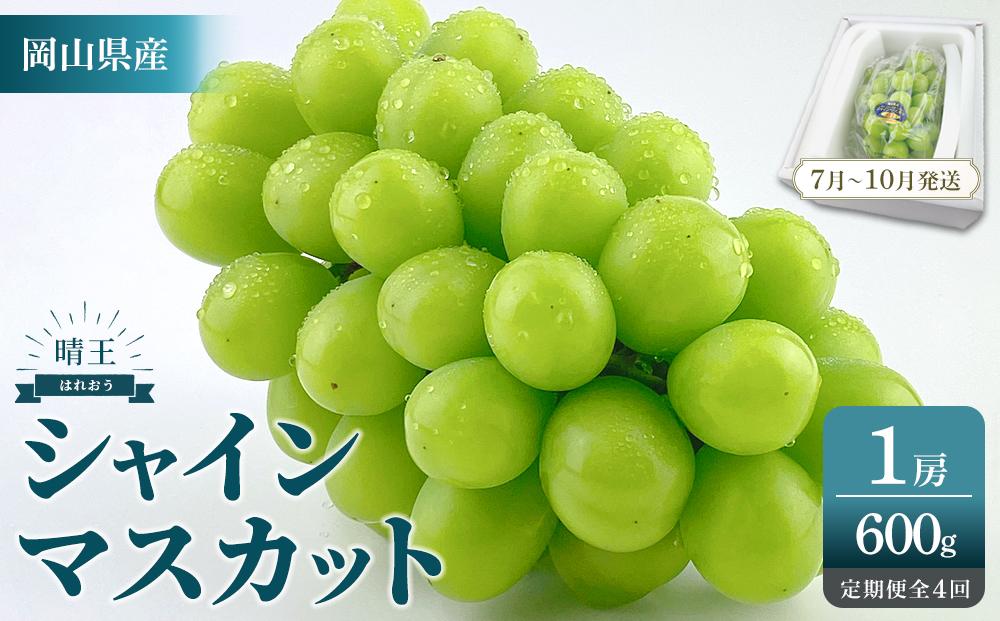 2026年予約受付中 シャインマスカット 晴王 1房 約600g 4回 定期便  7月・8月・9月・10月に1回ずつお届け【シャインマスカット マスカット ぶどう 葡萄 岡山県産   種無し 皮ごと食べる みずみずしい フレッシュ 温室栽培 晴れの国おかやま 果物大国 彩美菜果 岡山県 岡山市 おすすめ 人気 】