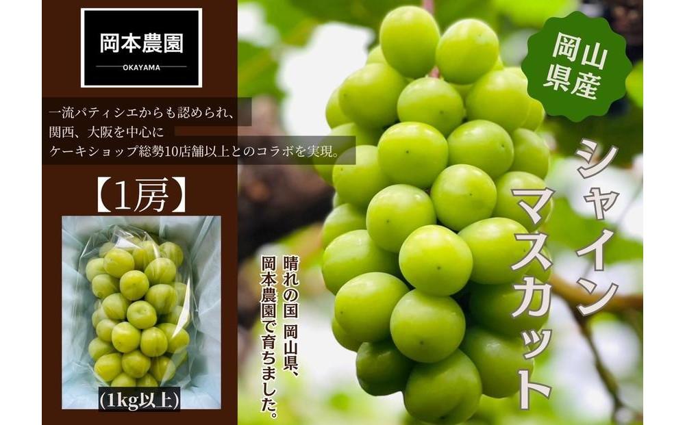 シャインマスカット　1房1.0kg