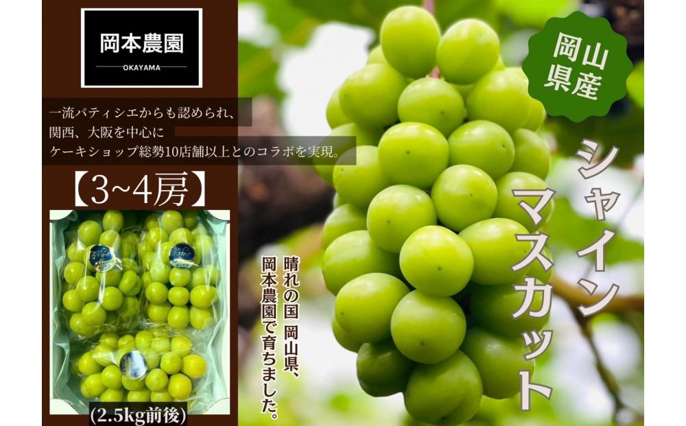 シャインマスカット　3～4房　約2.5kg