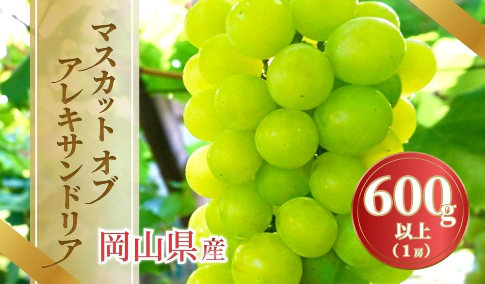 《2025年発送》岡山県産 マスカットオブアレキサンドリア 600g以上 1房