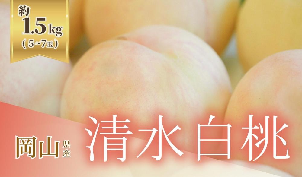 《2025年発送》岡山県産 清水白桃 1.5kg 5～7玉
