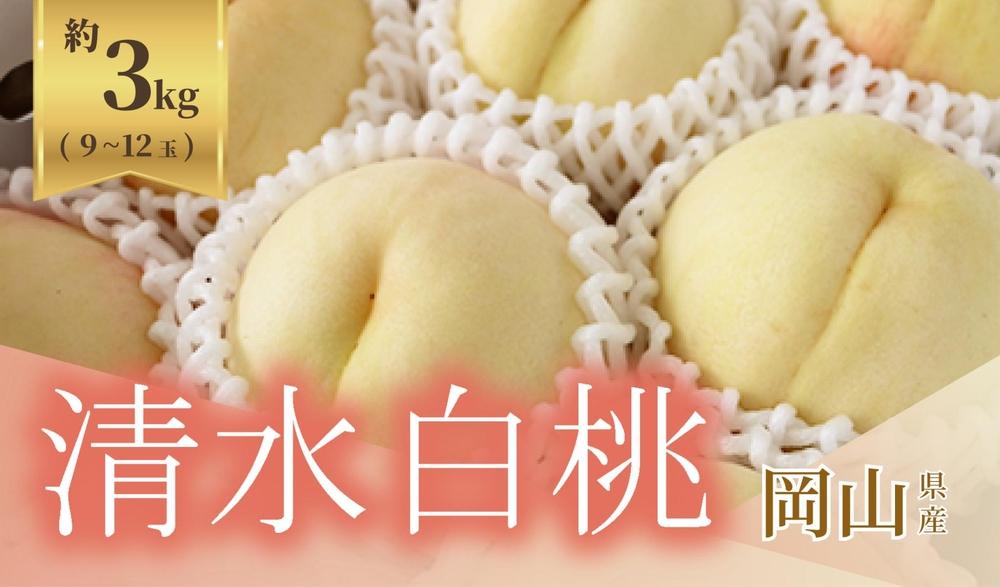 《2025年発送》岡山県産 清水白桃 約3kg 9～12玉