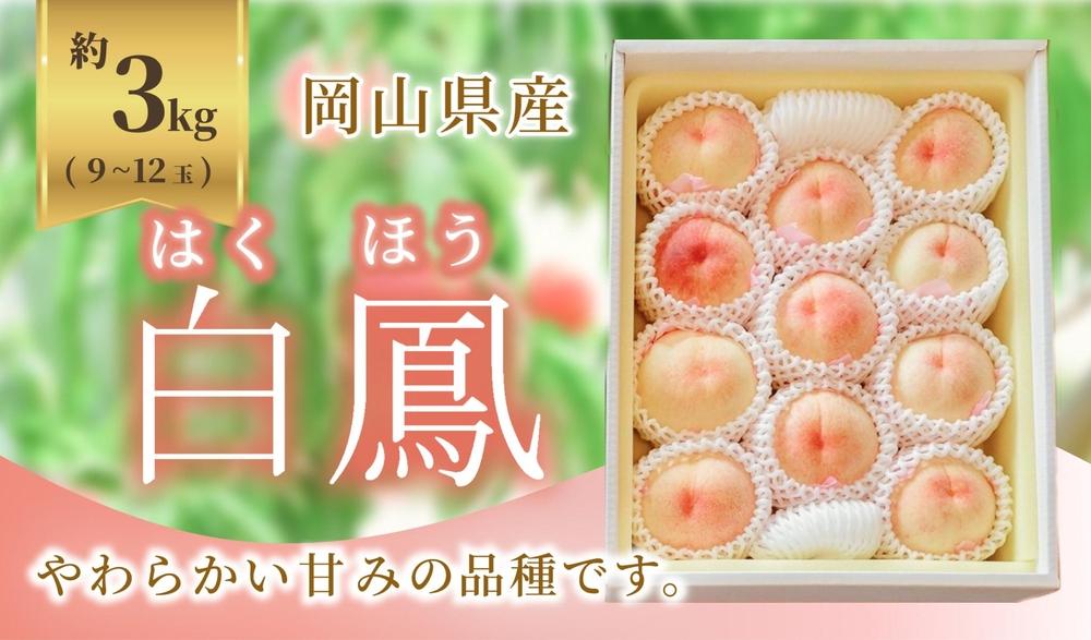 《2025年発送》岡山県産 桃 白鳳 約3kg 9～12玉