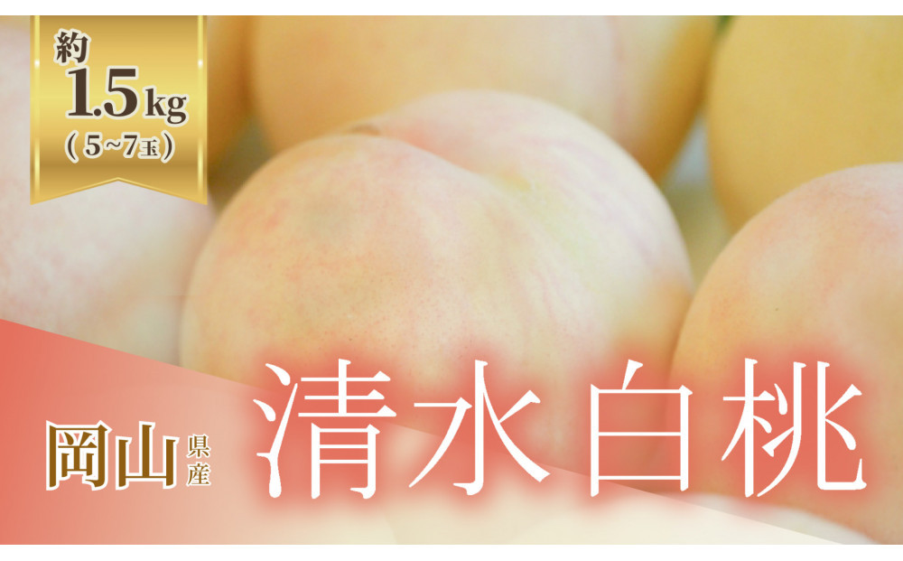 《2026年発送》岡山県産 清水白桃 1.5kg 5～7玉