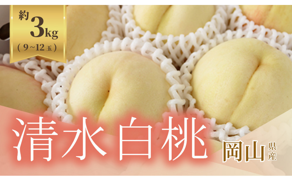《2026年発送》岡山県産 清水白桃 約3kg 9～12玉