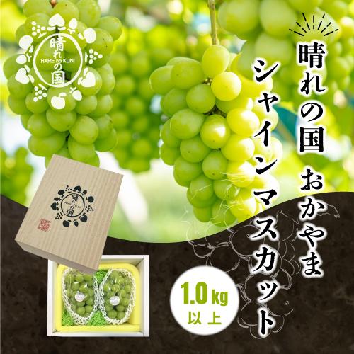 岡山県産 シャインマスカット 1kg以上（2～3房）＜先行受付：2026年9月上旬～発送＞