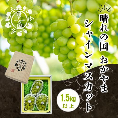 岡山県産 シャインマスカット 1.5kg以上（2～3房）＜先行受付：2026年9月上旬～発送＞