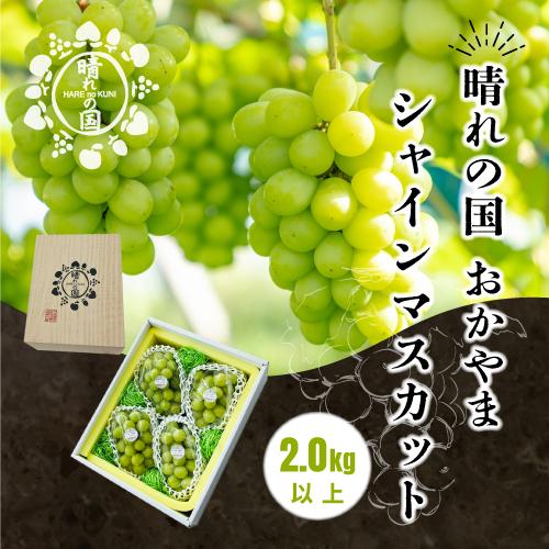 岡山県産 シャインマスカット 2kg以上（3～4房）＜先行受付：2026年9月上旬～発送＞