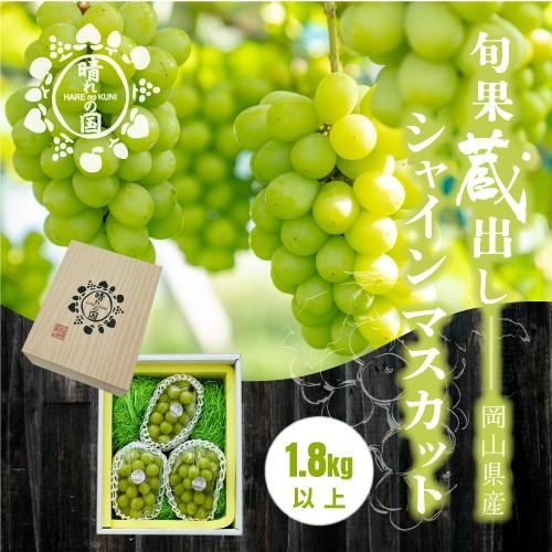【旬果蔵出し】岡山県産 シャインマスカット 1.8kg以上（2～3房）＜2025年12月上旬～2026年1月下旬発送＞