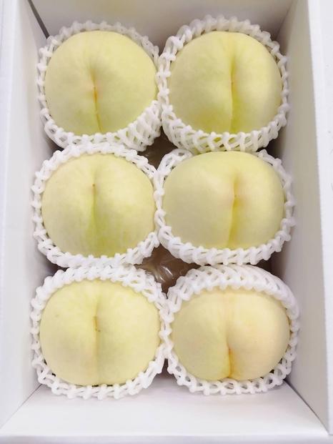 清水白桃　ご家庭用　1.5kg箱（6玉前後）