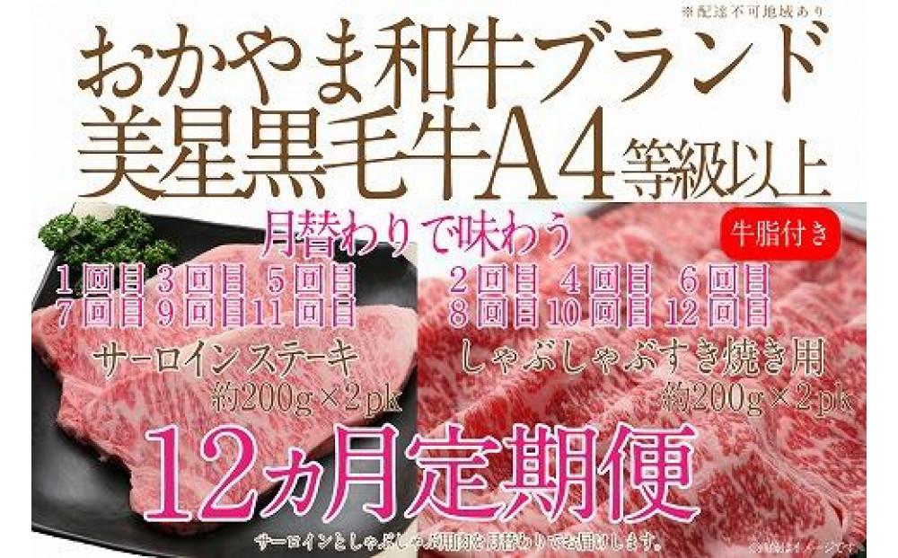 【定期便12か月】岡山　黒毛和牛　美星牛　A４等級以上　牛脂付き　１２か月定期便 合計約４８００g　 生産者直送便　美星牧場　定期便