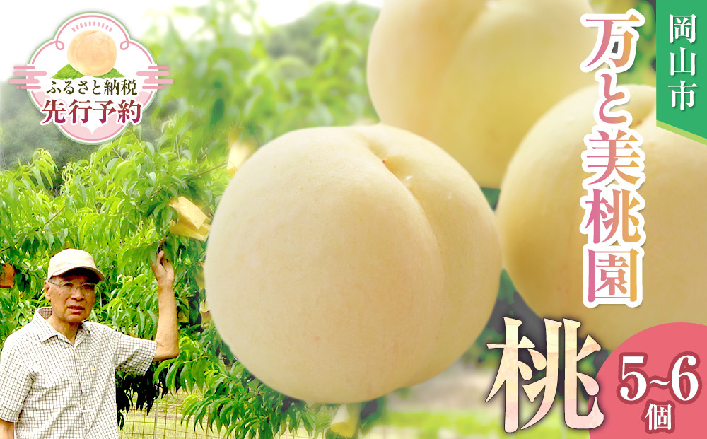ふるさと納税 岡山市 桃 5~6個 瀬戸町 万と美桃園　