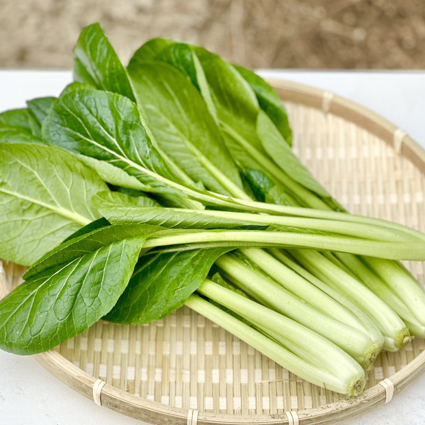 岡山県産 新鮮小松菜 900g 栄養満点の健康野菜
