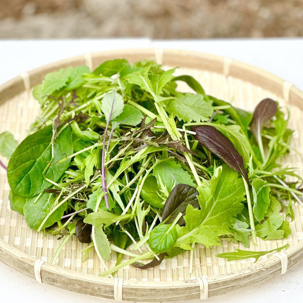 岡山県産 新鮮野菜 ベビーリーフ10種ミックス 計400g