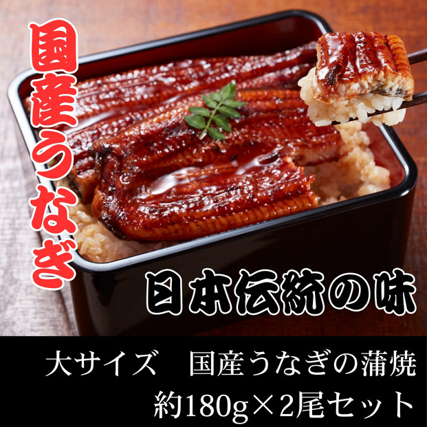 国産うなぎ蒲焼　大サイズ　約180g×2尾セット