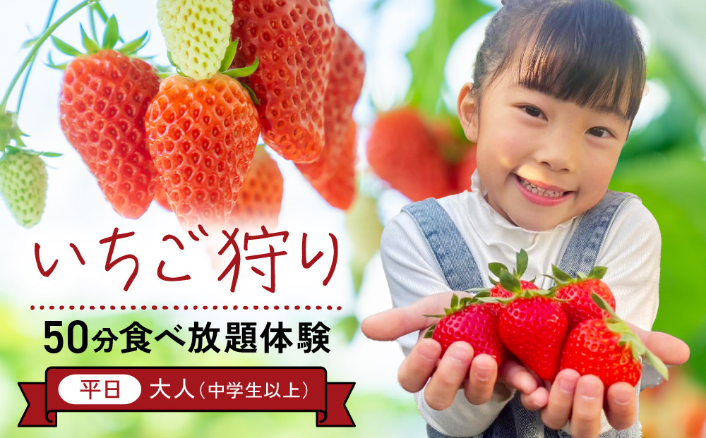 【いちご狩り】50分食べ放題体験　平日/大人（中学生以上）【いちご 苺 苺狩り フルーツ 果物 体験券 岡山市 岡山県 おすすめ 人気 食べ放題 岡山いちご狩り】
