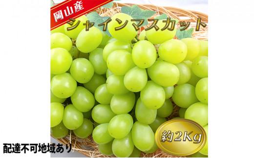 ※品切れ※ぶどう 2024年 先行予約 シャイン マスカット [8月中旬〜順次発送分]約2kg 糖度抜群! ブドウ 葡萄 岡山県産 国産 フルーツ 果物 ギフト