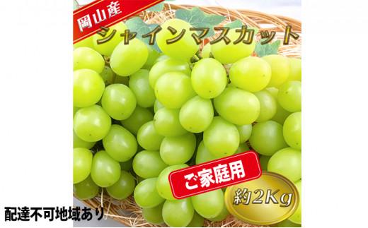 ※品切れ※ぶどう 2024年 先行予約 ご家庭用 シャイン マスカット 約2kg 糖度抜群! [8月中旬〜順次発送分] ブドウ 葡萄 岡山県産 国産 フルーツ 果物