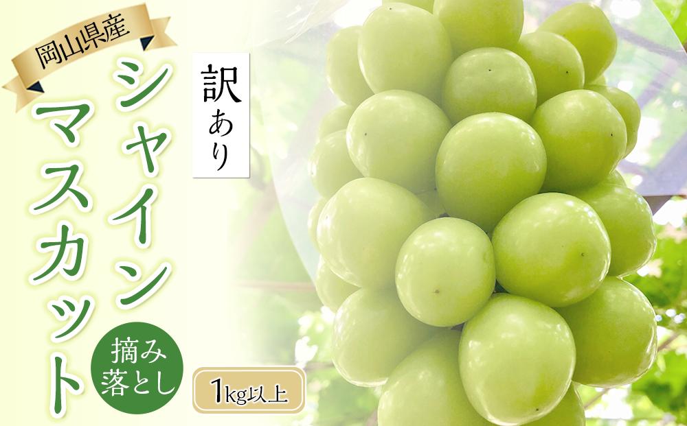 岡山県産 高級 シャインマスカット 1.4kg以上 2房 贈答用＜2024年9月 