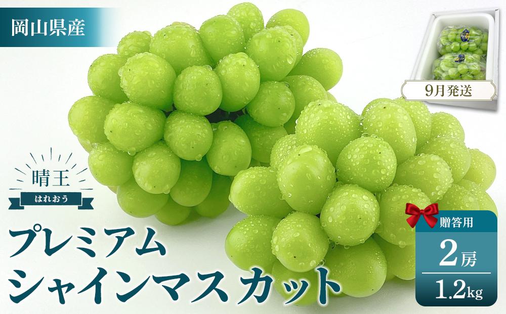 2026年予約受付中 プレミアム シャインマスカット 晴王 2房 約1.2kg 人気 岡山県産 赤秀品 種無し 皮ごと食べる みずみずしい 9月〜10月お届け フレッシュ 晴れの国 おかやま 果物大国 贈答品 彩美菜果 岡山県 岡山市 おすすめ 人気