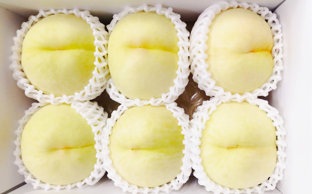 【先行予約】岡山白桃 約1.5kg（6玉前後）【2026年7月上旬～7月下旬迄順次発送予定】【もも 桃 清水白桃 白桃 果物 フルーツ 国産 人気 おすすめ 岡山県 倉敷市】