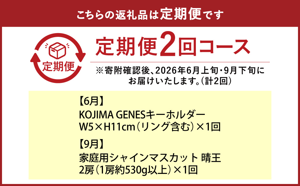 【年2回定期便】 家庭用 シャインマスカット 晴王 2房（1房約530g以上）＋ KOJIMA GENES キーホルダー フルーツ 果物 ブドウ ぶどう 葡萄 シャインマスカット マスカット 国産 ギフト 贈答 【2026年6月上旬～9月下旬まで発送予定】