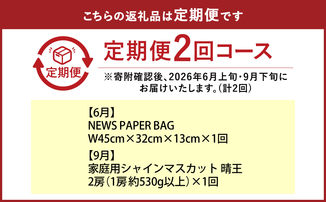 【年2回定期便】 家庭用 シャインマスカット 晴王 2房（1房約530g以上）＋ NEWS PAPER BAG（Hickory） フルーツ 果物 ブドウ ぶどう 葡萄 シャインマスカット マスカット 国産 ギフト 贈答 【2026年6月上旬～9月下旬まで発送予定】