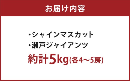 岡山県産ぶどう2種（シャインマスカット+瀬戸ジャイアンツ）家庭用 約5kg