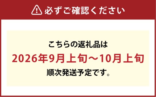 【訳あり】家庭用シャインマスカット摘み落とし 1kg以上