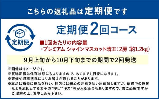 【2回定期便】プレミアム シャインマスカット 晴王 2房約1.2kg 2回 定期便 9月・10月に1回ずつお届け 種無し 皮ごと食べる フレッシュ 旬の美味しさ【2026年9月上旬発送開始】【シャインマスカット マスカット ぶどう 葡萄 岡山県産 種無し 皮ごと食べる みずみずしい 9月～10月お届け フレッシュ 晴れの国おかやま 果物大国 贈答品 彩美菜果 岡山県 倉敷市】