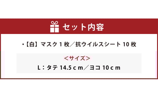夏用ハイブリッドマスク1枚と抗ウイルスシート10枚【白】Lサイズ