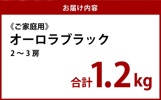 《ご家庭用》 オーロラブラック 2～3房 （合計約1.2kg） ブドウ 葡萄 岡山県産 国産 フルーツ 果物 岡山県 倉敷市 　【2026年8月下旬～9月下旬発送予定】