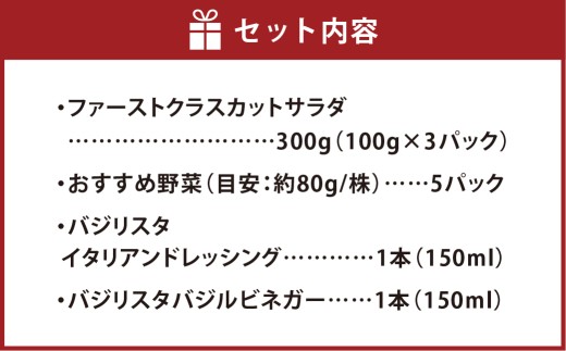 【Ortolano】ファーストクラスのサラダ＆ドレッシングセット B