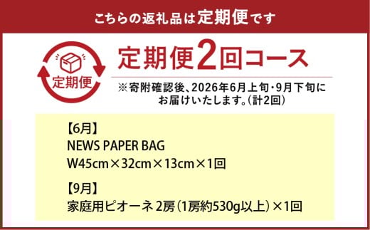 NEWS PAPER BAG（INDIGO）＋家庭用ピオーネ2房（1房約530g以上）