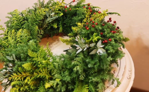 フレッシュリーフ　Christmasリース　Lサイズ【2025年11月上旬-12月下旬 発送予定】