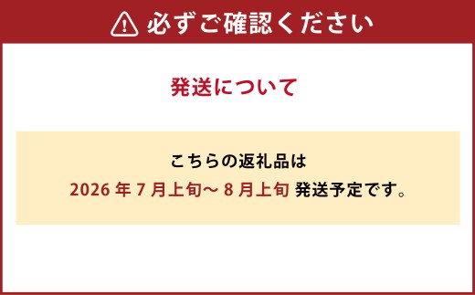 シャインマスカット 晴王 2房入り（1房 480g以上） 加温栽培【2026年7月上旬～8月上旬まで順次発送予定】【マスカット フルーツ 岡山フルーツ おすすめフルーツ 岡山県 倉敷市】