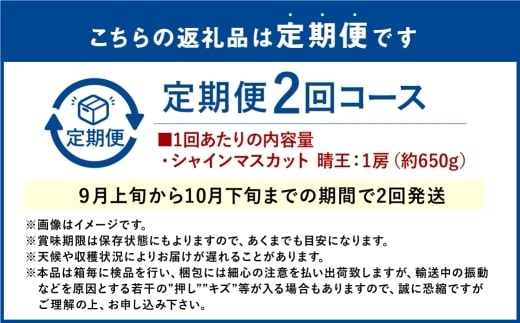 【2回定期便】シャインマスカット 晴王 １房 約650ｇ ２回 定期便 9月・10月に1回ずつ発送 岡山県産 種無し 皮ごと食べる みずみずしい 甘い フレッシュ 彩美菜果【2026年9月上旬発送開始】【岡山県産 種無し 皮ごと食べる みずみずしい 甘い フレッシュ 9月～10月発送 晴れの国 おかやま ぶどう 葡萄 マスカット 果物大国 彩美菜果 岡山県 倉敷市 おすすめ 人気】