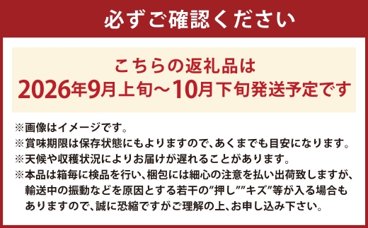 シャインマスカット 晴王 1房 約650g 種無し 皮ごと食べる フレッシュ 旬の美味しさ【2026年9月上旬-10月下旬 発送予定】【岡山県産 種無し 皮ごと食べる みずみずしい 甘い フレッシュ 9月～10月発送 晴れの国 おかやま 果物大国 彩美菜果 岡山県 倉敷市 おすすめ 人気