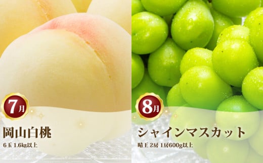 ［2026年先行予約］ 岡山県産 果物定期便 2回コース【2026年7月上旬～8月下旬まで順次発送予定】【もも 桃 シャインマスカット 果物 フルーツ 国産 人気 おすすめ 岡山県 倉敷市】