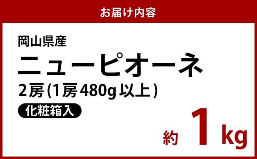 【先行予約】岡山県産 ニューピオーネ 2房（1房480g以上）約1kg 【2026年8月下旬～10月上旬まで順次発送予定】化粧箱入り【 ニューピオーネ 人気フルーツ 岡山フルーツ おすすめフルーツ 岡山県 倉敷市】