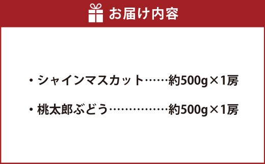 岡山県産シャインマスカット1房・桃太郎ぶどう1房