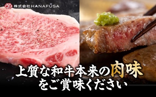【岡山県産・黒毛和牛】 吉備芳醇牛 サーロインステーキ 約250g × 2枚入り 合計500g ／ お肉 肉 牛肉 和牛 牛 霜降り 良質 あっさり サーロイン ステーキ 冷凍 岡山県 倉敷市