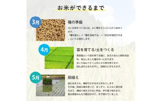 あけぼの 5kg×2袋 計10kg