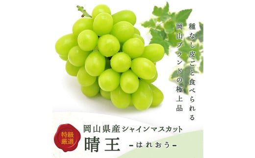 シャインマスカット【晴王】　800g前後 1房（化粧箱入り）【2025年7月下旬-12月下旬 発送予定】