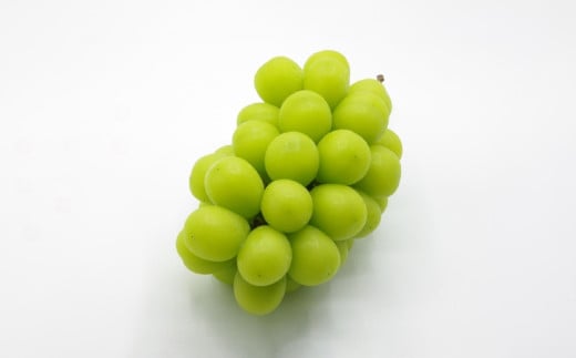 岡山シャインマスカット 1房 750グラム以上