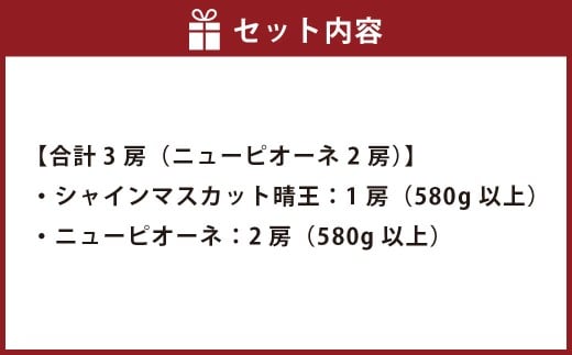 葡萄詰合せ（シャインマスカット 晴王 1房（580g以上）・ニューピオーネ 2房（1房 580g以上） 露地栽培【2026年9月上旬～10月下旬まで順次発送予定】マスカット 葡萄 ぶどう ブドウ ピオーネ フルーツ