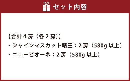 葡萄詰合せ（シャインマスカット晴王 2房（1房 580g以上）・ニューピオーネ 2房（1房 580g以上） 露地栽培【2026年9月上旬～10月下旬まで順次発送予定】ぶどう 葡萄 ブドウ ピオーネ マスカット フルーツ