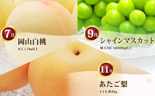 ［2026年先行予約］ 岡山県産 果物定期便 3回コース【2026年7月上旬～11月下旬まで順次発送予定】【もも 桃 シャインマスカット 梨 なし あたご梨 果物 フルーツ 国産 人気 おすすめ 岡山県 倉敷市】