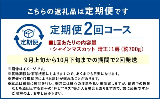 【2回定期便】シャインマスカット 晴王 １房 約700g ２回 定期便 9月・10月に1回ずつ発送 岡山県産 種無し 皮ごと食べる みずみずしい 甘い フレッシュ【2026年9月上旬発送開始】【岡山県産 種無し 皮ごと食べる みずみずしい 甘い フレッシュ 9月～10月発送 晴れの国 おかやま ぶどう 葡萄 マスカット 果物大国 彩美菜果 岡山県 倉敷市 おすすめ 人気】